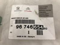 Citroen C-Elysee Arka Amortisör Orjinal