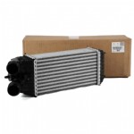 Citroen C-Elysee Intercooler Radyatörü Orjinal