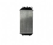 Citroen C4 C41 (SUV) Turbo Intercooler Radyatorü