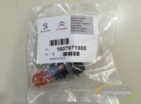 Citroen C4 Picasso Spacetourer B78 Sinyal Ampulü Orjinal